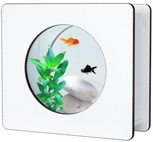 Aquarium Nano Fashion Vision 1 Dennerlé bois blanc Aquarium Nano Fashion Vision