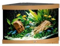 Aquarium Juwel Trigon 190 Aquarium Juwel Trigon 190