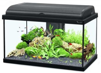 Aquarium noir Aquadream Zolux Modèle 80 LED Conten