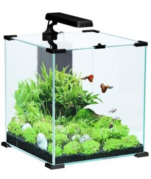 Aquarium complet NanoLife Cube Noir Zolux 20 litre