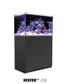 Aquarium Red Sea Reefer 250 (Meuble Inclus) Aquarium Red Sea Reefer 250