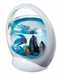 AQUARIUM POUR BETTA/COMBATTANT TETRA BETTA RING