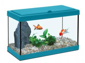 MON 1er AQUARIUM 30 CM ! 4 COULEURS AU CHOIX