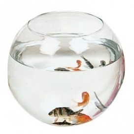 Aquarium Boule Zolux 4 litres