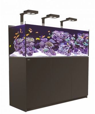 Aquarium Red Sea Reefer Deluxe 450 (Meuble Inclus)