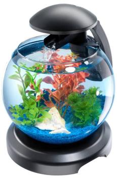Aquarium Tetra Cascade Globe