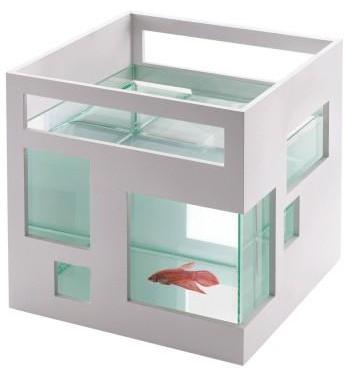Aquarium Fish Hotel Umbra Aquarium Fish Hotel Umbra