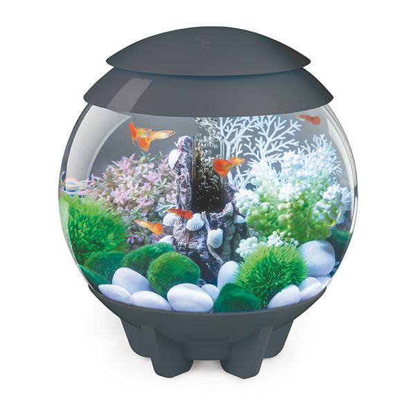 Aquarium biOrb HALO 15 L Gris LED Multi color