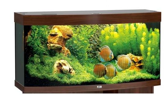 Aquarium Juwel Vision 260 Aquarium Juwel Vision 260