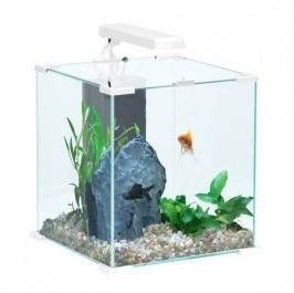 Aquarium complet NanoLife Cube Blanc Zolux 20 litr