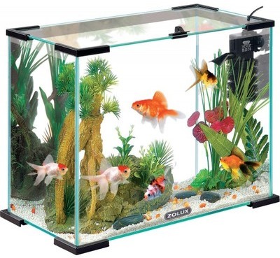 Aquarium complet NanoLife First 24 Blanc Zolux