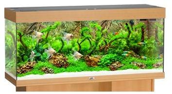 Aquarium Juwel Rio 240 Aquarium Juwel Rio 240