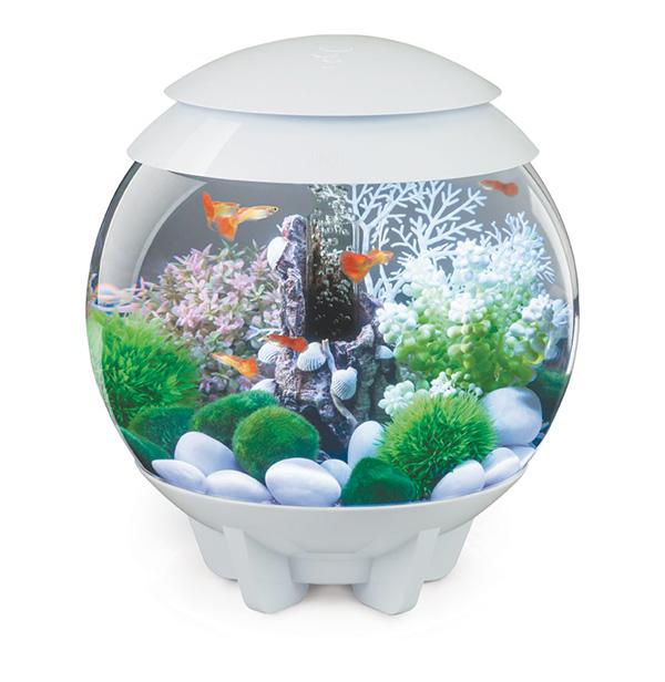 Aquarium biOrb HALO 15 L Blanc LED Multi color