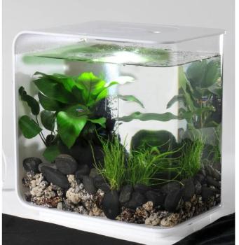 Aquarium BiOrb Flow blanc 15L Aquarium BiOrb Flow blanc