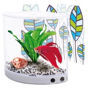 Aquarium pour Bettas Angulo 1,3 litre