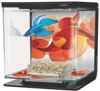 Aquarium équipé Marina pour betta Tourbillon de so