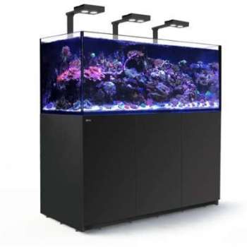Aquarium Red Sea Reefer Deluxe XXL 625 (Meuble Inclus) Aquarium Red Sea Reefer Deluxe