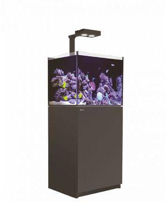 Aquarium Red Sea Reefer Deluxe 170 (Meuble Inclus) Aquarium Red Sea Reefer Deluxe