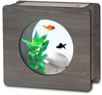 Aquarium Nano Fashion Vision 1 Dennerlé bois veiné Aquarium Nano Fashion Vision