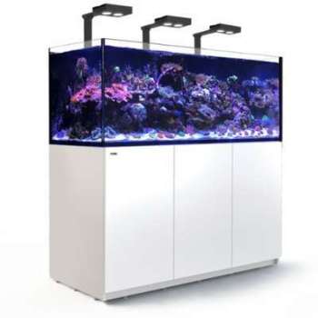 Aquarium Red Sea Reefer Deluxe XXL 625 (Meuble Inclus) Aquarium Red Sea Reefer Deluxe