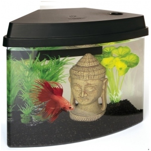 Petit aquarium dangle - Noir - 3.8L Superfish Cas