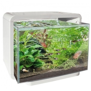 Aquarium modern avec éclairage LED - Blanc - 15L S