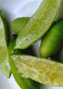 Citron Caviar Blanc : MICROCITRUS AUSTRALASICA