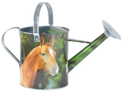 Arrosoir animaux de la ferme Cheval Arrosoir animaux de la ferme
