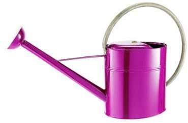 Arrosoir vintage grande anse 10 litres Arrosoir vintage grande anse