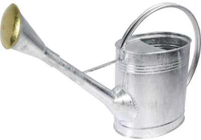 Arrosoir ovale galvanisé 12 l