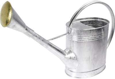 Arrosoir ovale galvanisé 12 l Arrosoir ovale galvanisé 12