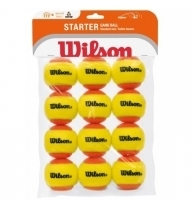 Balles Wilson Game Starter x12