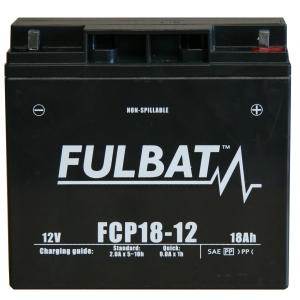 Batterie tondeuse NH1220 12V 20AH AGM