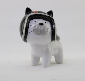 CHAT CRAZY avec casque