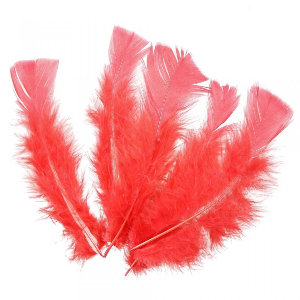 Plumes pied plat de dinde - 5 grammes - Rouge
