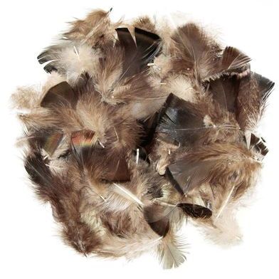 Plumes coquille de dinde demi bronze naturelles -