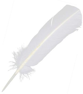 Plumes palette de dinde - 25 à 30 cm - Lot de 5 -