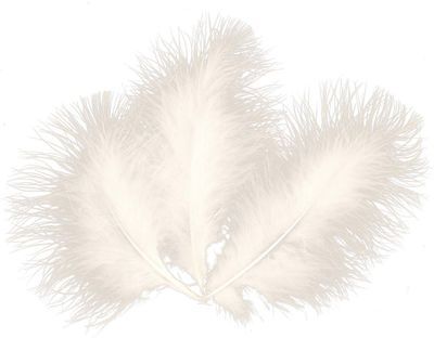 Plumes de marabout - 12 à 18 cm - 5 grammes - Blan