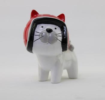 CHAT CRAZY avec casque