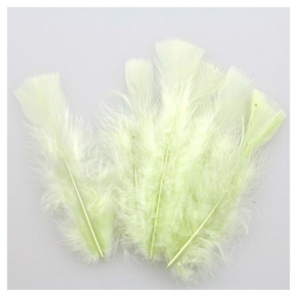 Plumes pied plat de dinde - 5 grammes - Pistache