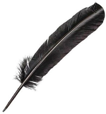 Plumes palette de dinde - 25 à 30 cm - Lot de 5 -