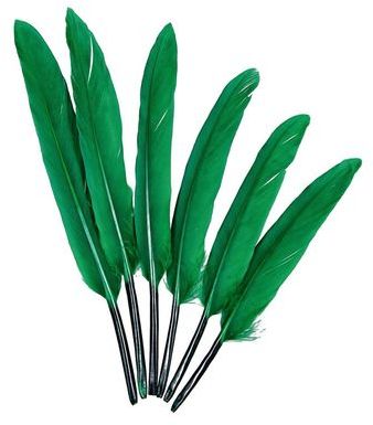Plumes de chocotte doie - 10 à 15 cm - Lot de 30