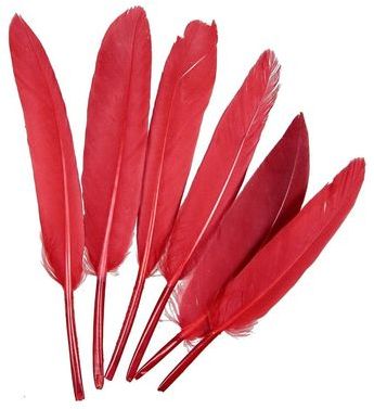 Plumes de chocotte doie - 10 à 15 cm - Lot de 30