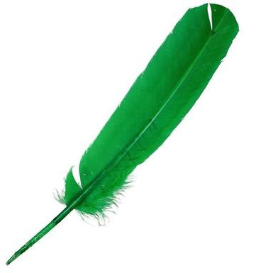 Plumes palette de dinde - 25 à 30 cm - Lot de 5 -
