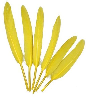 Plumes de chocotte doie - 10 à 15 cm - Lot de 30