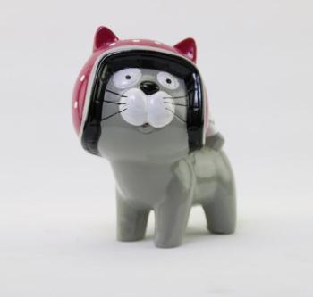 CHAT CRAZY avec casque