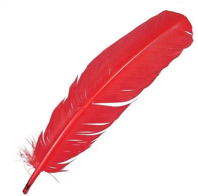 Plumes palette de dinde - 25 à 30 cm - Lot de 5 -