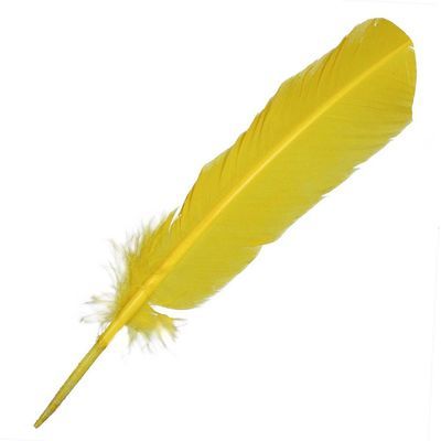 Plumes palette de dinde - 25 à 30 cm - Lot de 5 -