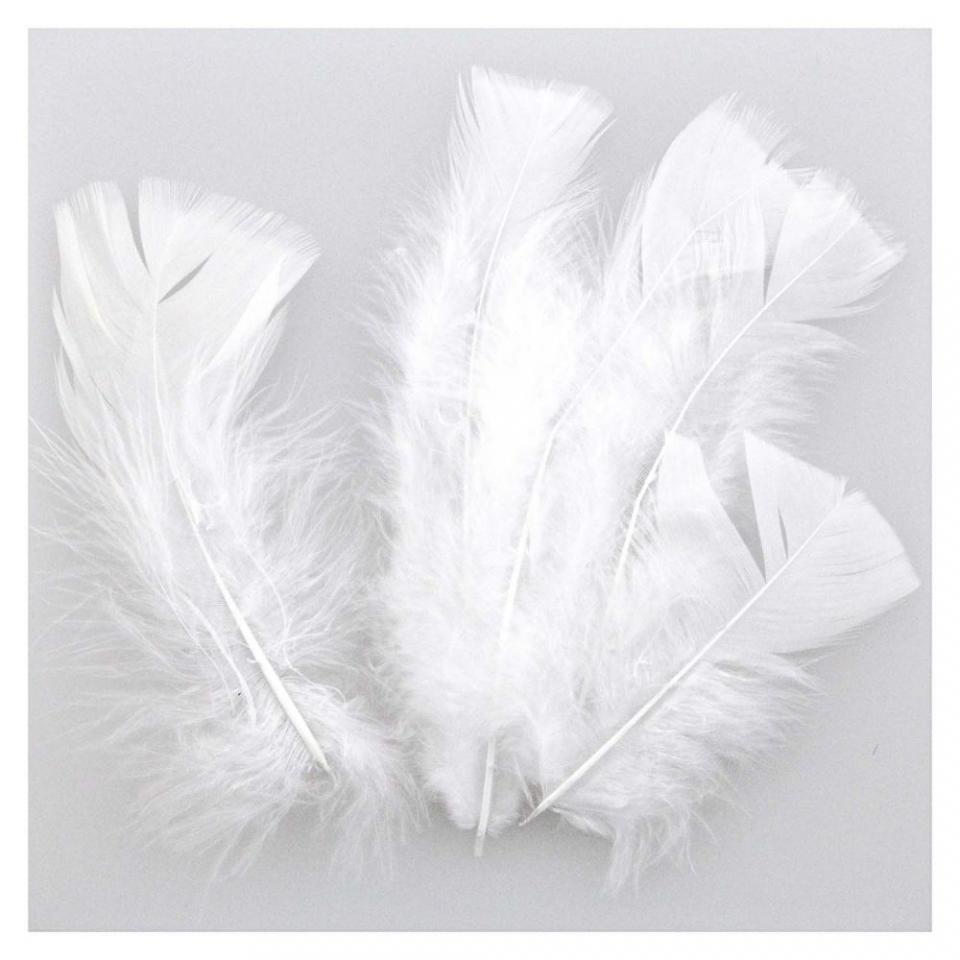 Plumes pied plat de dinde - 5 grammes - Blanc