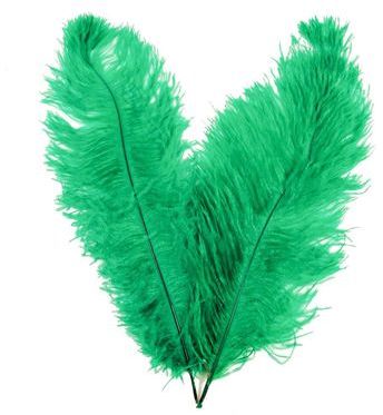 Plumes de blondine - 30 à 40 cm - Lot de 5 - Vert